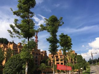 重庆四面山避暑房销售公司告诉你到四面上的麟游攻略 重庆四面山避暑房销售公司告诉你到四面上的麟游攻略